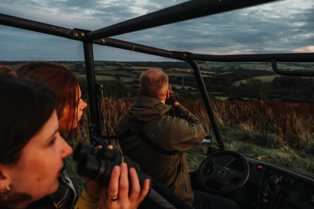 Night Safari: A wildlife experience in North Devon