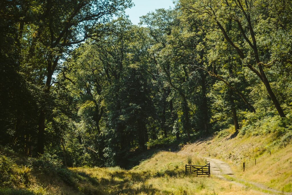 Mornacott’s eco-credentials part 2: day-to-day initiatives