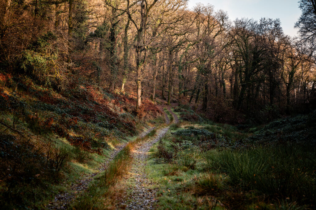 How our guests support Biodiversity Net Gain at Mornacott